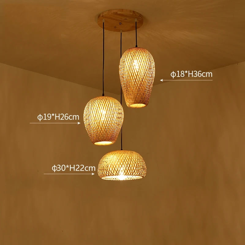 eco-friendly-pendant-lamp